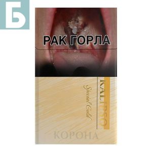 Заказать сигареты блоками Сигареты Kalipso Special Gold (Калипсо нано Голд)