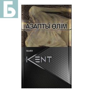Заказать сигареты блоками Сигареты KENT Nano Silver (КЕНТ Нано Сильвер Казахстан)